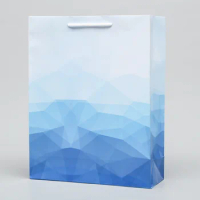 Packaging Printing Factory Professionally Custom Jewellery Paper Bag,Paper Bags with partial UV-Varnish --C2181