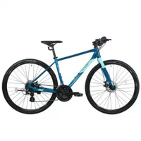 Polygon Path 2 Sepeda Hybrid 700C Hijau SA 46