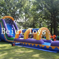 Commercial Rental Hot Selling High Color Inflatable Pool Slides