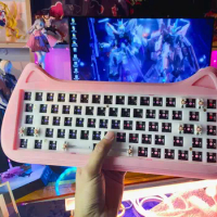 Wireless Mechanical Keyboard Hot Swappable Mini Cat 68 Kit 60% Keyboard Kit Acrylic RGB Barebone DIY Kit VIA Programmable Cute
