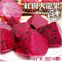 【家購網嚴選】屏東紅肉火龍果 5斤裝/盒 大(約7-8顆)