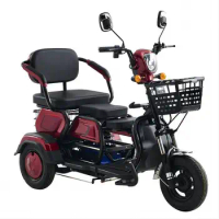 Adult leisure small household electric motorcycle scooter mini battery car tricycle