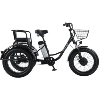 20 Inch Fat Tire Electric Bike 48v 500w Electric Tricycle for Adult 3 Wheels Lithium Battery Removable Electric Cargo Tricycle
