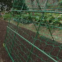 黃瓜豆角爬藤架菜地支撐桿架蔬菜包塑鋼鐵管掛架花園種菜攀爬架