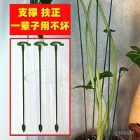 🔥植物支撐架 盆栽支架 植物花架 植物支架 植物支撐桿 園藝支架 蘭花支架 花盆支撐架 葉架 花卉 G