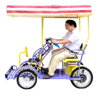 OEM Cheap Electric Bicycle Sale Sightseeing Bikes Electric Tricycles Cargo Adult Rickshaw Surrey Couple Recreational Vehicles