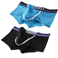 2 Pcs High quality Underwear Briefs mesh Ice silk Mesh Breathable Underpants Men Boxer Shorts Sexy Graphene Male U Pouch sexy