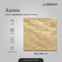Granite Tiles Aurora Polish 60x60 Sandimas