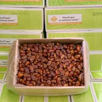 Kurma Khalas 10kg