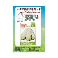 【蔬菜工坊】G34.雪寶甜珍珠糯玉米種子