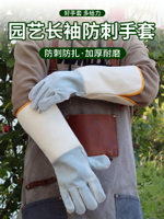 防刺手套防扎加厚花藝園藝手套通用摘花椒月季專用防扎刺勞動手套