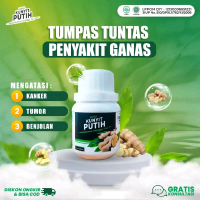rimpang kunyit putih isi 60