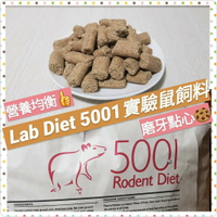 【鼠勾乙】🔥熱賣🔥 LabDiet 5001 實驗室鼠飼料 營養主食 小寵物點心 倉鼠 黃金鼠 寵物鼠等