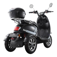 Wholesale new style Electrical Motorcycle Electric Tricycles For Women Man Double Seats 3 wheel Scooter