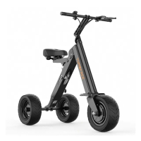 【趣野】K9電動三輪車 30公里版 獨家倒車設計 10吋胖胎(三輪車 折疊車 電動車)