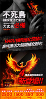HARU BOOST 不死鳥精胺酸活力粉包 7.5g 大丈夫必備 (柑橘風味) 健身能量補給 機能性食品 夜間親密必備！