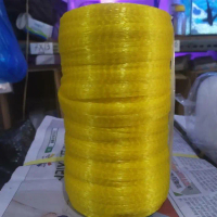 Polynet, Waring, Rambang, Jaring Buah, Panjang 100M Terlaris