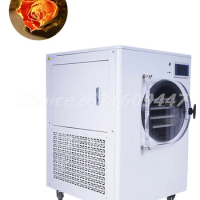 1-2kg Vacuum Fruit Freeze Drying Dried Machines Mini Frozen Vegetables Dried Strawberry Vacuum Drying Machine