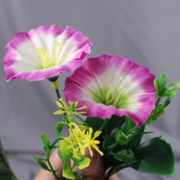 Hoa morning glory và hoa sáo hoa nhân tạo rực rỡ – trang trí nhà ấn tượng!