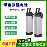 電池 鋰電池平臺銀魚鋰電池48v大容量可用于電動自行車實體工廠直供