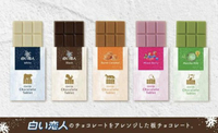 日本北海道石屋製菓白色戀人黑巧克力/白巧克力/抹茶牛奶/綜合莓果/焦糖巧克力片聖誕節新年禮盒-五款現貨