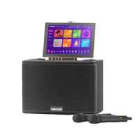 4K 14.1 Inch Touch Screen WiFi Karaoke Player Karaoke Sets Speaker Portable Bluetooth Chinese Karaoke Machine Outdoor Microphone
