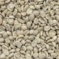 【E7HomeCafe一起烘咖啡】肯亞AA水洗咖啡生豆1kg/袋(Ai智能挑豆生豆)