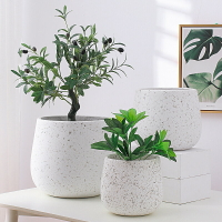 含運 落地花盆花器 北歐極簡白色鎂泥花盆輕奢高級感檸檬樹百合竹龜背竹橡皮樹大花盆