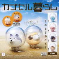Bushiroad Japan Gashapon Capsule Toys Figure Cute Space Ball Zoo Animal Wolf Sheep Elephant Yak Figurine Anime Kawaii gifts