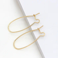 10 PCS 14K Gold Plated Hook Earring Loop Hoops Ear Wire Hook For Jewelry Making DIY Earrings Settings Base Accessories Supplies