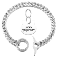 Dog Chain Collar Silver Stainless Steel P Link Choker Collar Width 10mm with Personalized Dog Tag Chew-Proof Water-Proof for Dog
