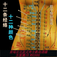 {臺灣公司貨 可打統編}人體穴位彩色經絡彩色字體針灸模型中醫穴位皮人可扎針教學模型