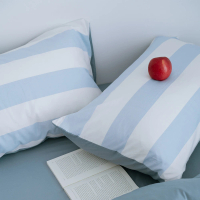 【翔仔居家】100%精梳純棉 床包+枕套-3件組-藍調(特大)