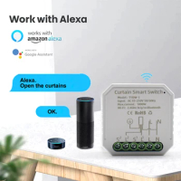 AC 85-250V 10A Alice Alexa Google Assistant Tuya Wifi Smart Switch Home Switch Smart Module WiFi Timing Switch