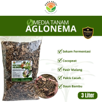 Media Tanam Aglonema Premium Siap Pakai 3Liter, Penyubur Tanaman Hias Aglonema Verdant Flora daun Ba