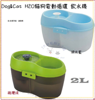 DOG&amp;CAT H2O 有氧濾水機 電動飲水器 小 2L⭐寵物周年慶-9月滿1999抽多尼斯寵物自動餵食器⭐
