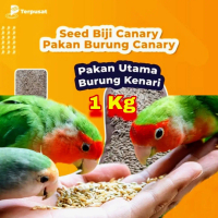 Canary Seed Biji Kenari 1 Kg