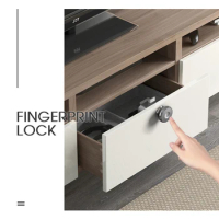 10Fingerprint capacity Mini Aluminum alloy Fingerprint cabinet door lock biometric electric lock
