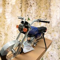 【ChenPiv辰嚭】紙紮車 紙紮野狼125 行照 擋車 重機(往生祭祀 紙紮 火化 法會 殯儀館)