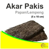Media Akar Pakis Papan Lempeng 10 x 20 anggrek sedang besar 5x10