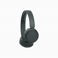 SONY 索尼 藍芽耳罩式耳機(WH-CH520)