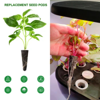 50pcs/set Hydroponic Seed Germination Kit Start Own Garden Indoors Herbs Hydroponics Growing Systems