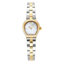 AIGNER AGW.256002 Women's Watch