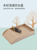 公司貨 免運可開票 烏龜泡澡盆飲水盤黃緣安緣半水龜泡水盆陸龜寄居蟹爬寵喂食盤水盆 快速出貨
