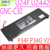 Gigabyte GNC-C30 電池 GA 技嘉 P34F V2  U24F  U2442 P34FV2 428PLJA11G9C