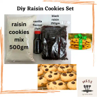 Diy Raisin Cookies Set / Diy Biskut Raisin