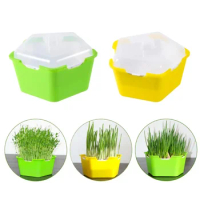 Useful Sprouter Tray Lightweight Peat Pot Eco-friendly BPA Free Wheat Grass Cat Grass Nursery Growing Germination Kit