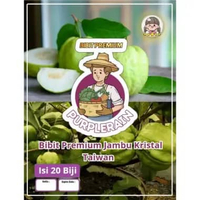 Bibit Premium Jambu Kristal Taiwan | Biji Benih Jambu Biji Taiwan