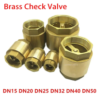 1pcs Baru Sistem Akuarium Pengairan NPT Brass Check Valve Thread Perempuan 1/2 \3/4\" 1 \"2\" DN15 D