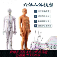 【3541人收藏】中醫針灸穴位人體模型全身教學十二經絡圖硅膠扎針練習模特小皮人